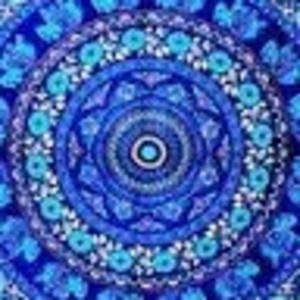 Meet your Posher, Tenaya